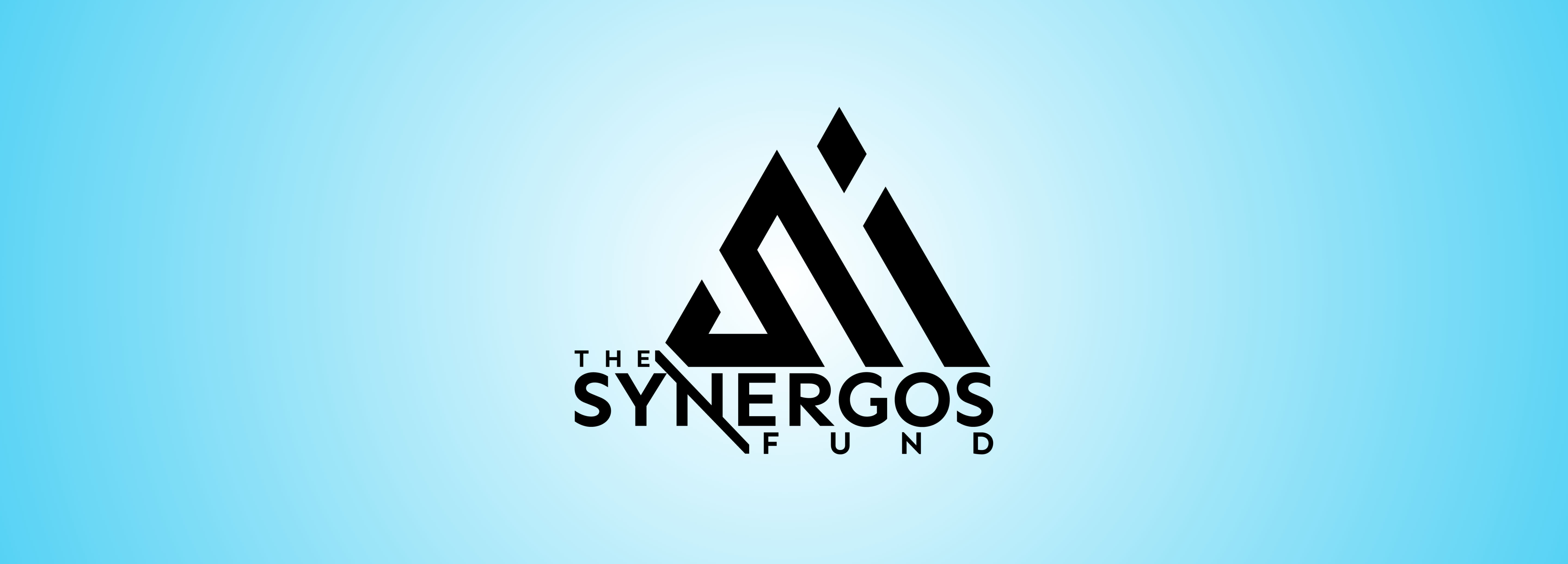 Synergos Launches Hybrid Evergreen Venture Capital Fund