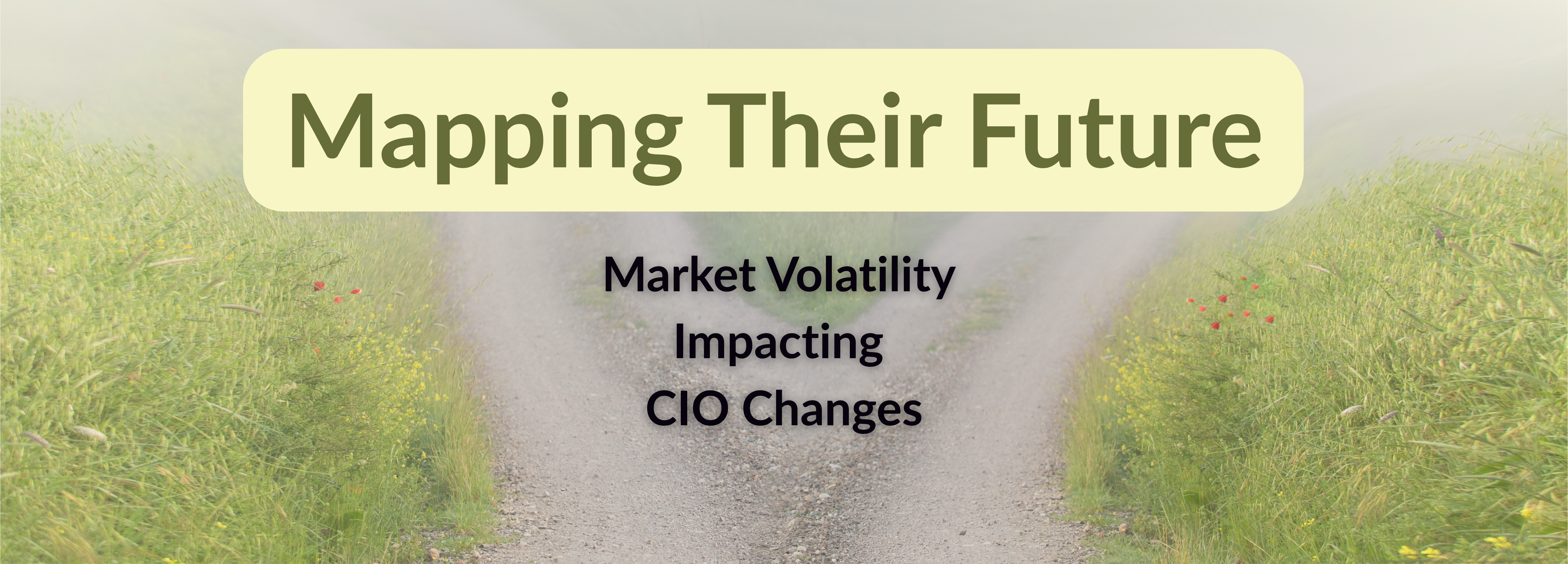 Mapping Their Future: Market Volatility Impacting CIO Changes