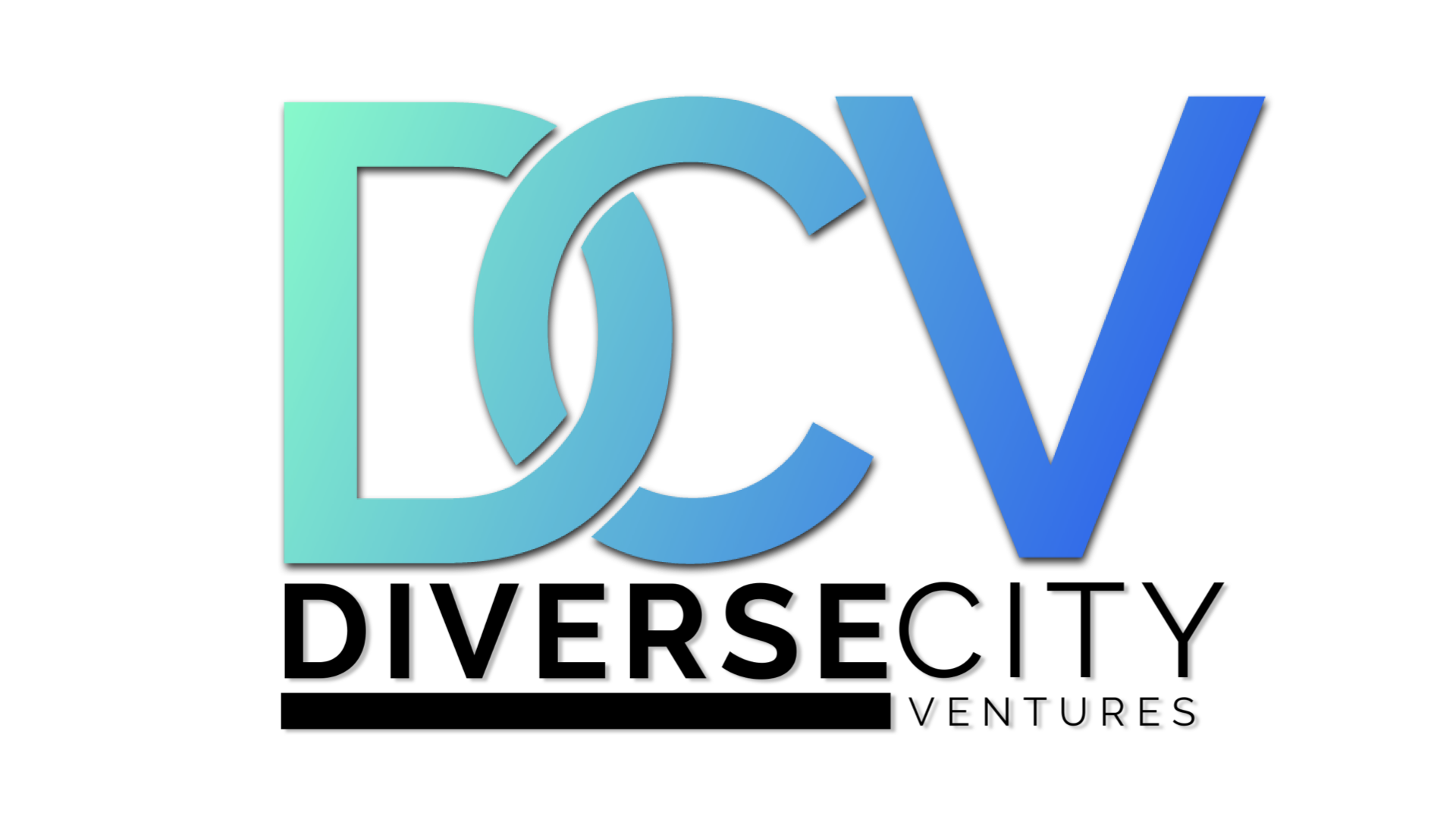 DiverseCity Ventures LLC