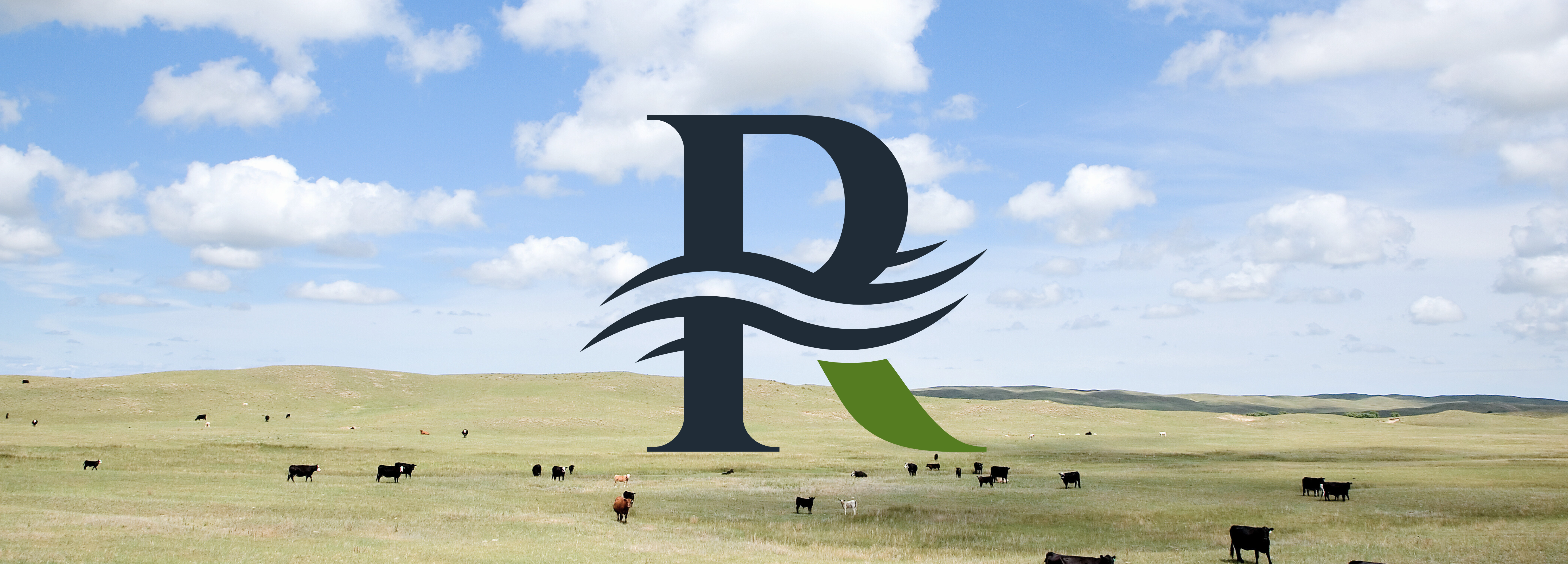 Home On The Range: An Institutional Approach To Ranchland